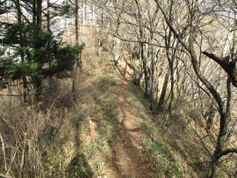 20171116hike (177)